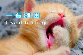 据说是一看就困的图，专治失眠视频封面