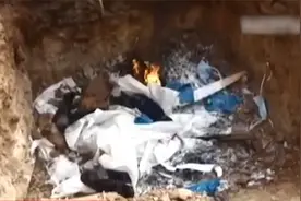 诡异！印度一地同一天现多起乌鸦群体死亡事件 死因成谜