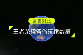 王者荣耀各省玩家数量占比，你知道吗
