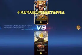 小鸟北,我才是最强典韦王！视频封面