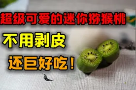 猕猴桃可以连皮一起吃？就离谱视频封面
