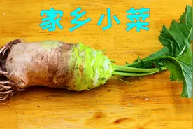 只有四川人才懂得一种蔬菜，比折耳根还更香更脆，开胃爽口又下饭视频封面