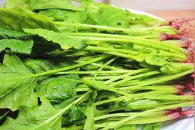 今天才知道，菠菜不建议和这2种食物同吃，真的涨知识了！视频封面