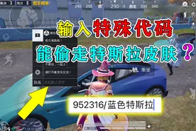 和平精英揭秘：输入“特殊代码”，能偷走特斯拉皮肤？别被骗了！