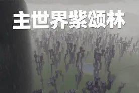 我的世界评论生存51 表妹种了一片紫颂林 真是太好看了