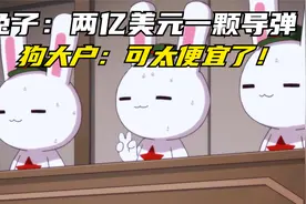 兔子穷了啥都敢卖，2亿美元一颗导弹，让狗大户在中东横着走！视频封面