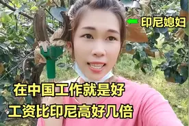 外国女孩嫁到中国农村在果园工作，这工资比老家的工资高好几倍！视频封面