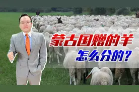 蒙古国捐赠的3万只羊终于来了！分配方案出炉，献给最可爱的人视频封面