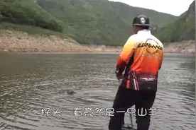 盘点奇闻趣事：男子在湖上划艇，袋鼠却游过来趴在船边视频封面