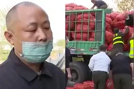 货车走绿通被拒，高速口司机怒卸萝卜证清白，最终认定符合绿通视频封面