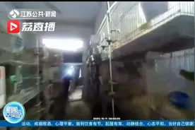 贩卖“牡丹鹦鹉”三人被刑拘