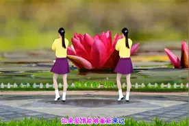 心醉情歌DJ广场舞《如果爱重新来过》演示分解，优美好学