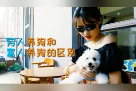 穷人养狗和富人养狗的区别，看完这视频，再也不敢养狗了