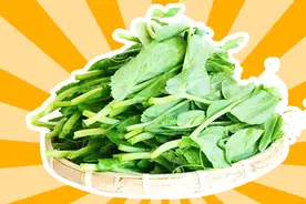 小伙教你豌豆芽最清淡的吃法，清脆爽口，简单易学视频封面