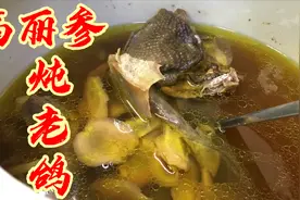 高丽参炖老鸽，滋补养颜，气血双补，学会多炖给老婆喝视频封面
