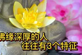 佛缘深厚的人，往往有这3个特征，一个也算有佛缘视频封面