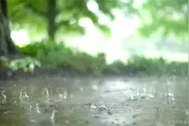 20首世界上最美的背景轻音乐 纯粹优美 愉悦身心 放松减压纯音乐