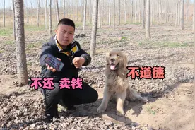 小虎知道小吉掉手机，所以捡到故意不还给他，金毛说他这样不道德