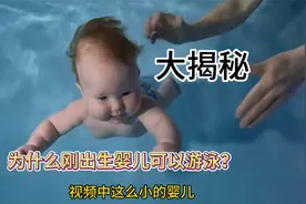 大揭秘 为什么新生婴儿 幼儿游泳潜水有天赋？原因有这些视频封面