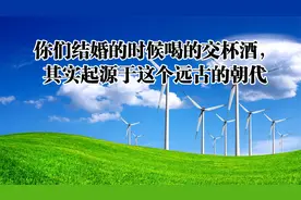 你们结婚的时候喝的交杯酒，其实起源于这个远古的朝代视频封面