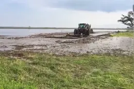 美国即将向中国出口大米，水稻农场水整地使用的拖拉机超出你想象视频封面