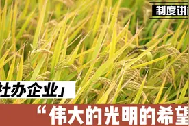 毛主席说的伟大的、光明灿烂的希望是什么？为何如此寄予厚望？视频封面