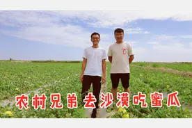 沙漠蜜瓜怎么样？兄弟带你去品尝，哥哥吃到停不下来，弟弟馋坏了视频封面