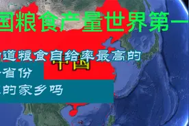 我国粮食产量世界第一，你知道自给率最高的十个省份有你的家乡吗视频封面