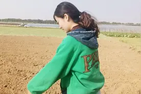 小麦除草剂上午和下午打药，什么时间最好？农户别做错了视频封面