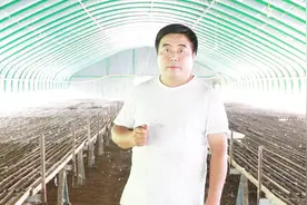 鹅的头肿胀是怎么回事？试试老张的土方法，分分钟把肿胀消下去！视频封面