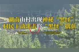 湖南山村出现神秘黑怪，趁夜潜入村里，村民主动出击将黑怪擒获