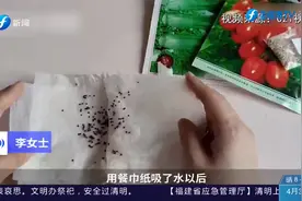 种下希望！上海居民居家种菜种葱，从种植中寻找乐趣视频封面