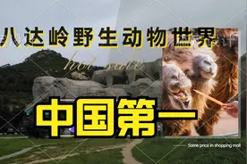 北京八达岭野生动物世界（中国第一）视频封面