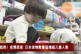 趋势！疫情居家 日本宠物数量猛增超儿童人数视频封面