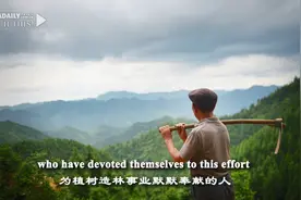 中国绿色奇迹的背后，有太多这样的故事视频封面