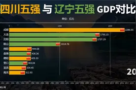 四川五强与辽宁五强GDP对比：辽宁与四川哪个省更有发展潜力？视频封面