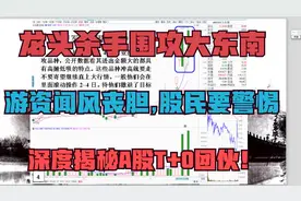 揭秘大东南股价波动背后的团伙，游资痛恨的T+0大王，股民需警惕