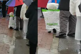萌娃雨中排队做核酸，身上的奇葩雨衣令人笑喷：正宗的麻袋装小孩视频封面