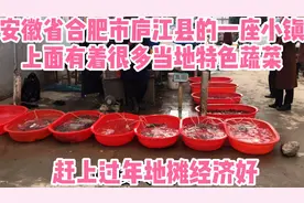 安徽省合肥市庐江县的一座小镇，当地特色蔬菜多，过年地摊经济好