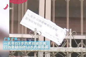 18岁哥哥杀害亲弟弟！哥哥职中毕业开始工作 行凶原因引人深思！视频封面
