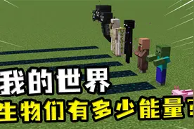 我的世界：所有生物的能量都在这里，就不信你都知道！快来看看吧