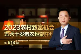 2023年农村致富机会，五六十岁老农民也能干！视频封面