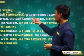 口腔组织病理学05口腔黏膜01基本结构02固有层、粘膜下层视频封面