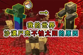 我的世界：僵尸们还会进入下界？借助岩浆烘干身体，从此不惧太阳