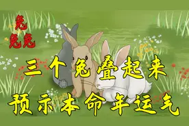 三个兔叠起来怎么读？预示着属兔人在今年的运气，不是迷信视频封面