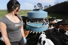 现代化奶牛养殖场、牧场实拍，看完很震撼，原来养殖可以这样搞