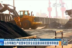 落实主体责任！山东明确生产经营单位安全总监委派和双重领导制度视频封面