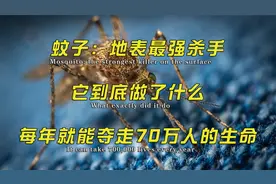 蚊子：地表最强杀手，它到底做了什么？每年就能夺走70万人的生命视频封面