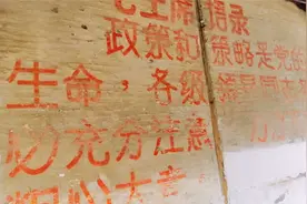 毛概浦东开发开放分享