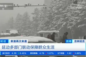 寒潮再次来袭 吉林发布暴雪蓝色预警 延边东部地区有大暴雪视频封面